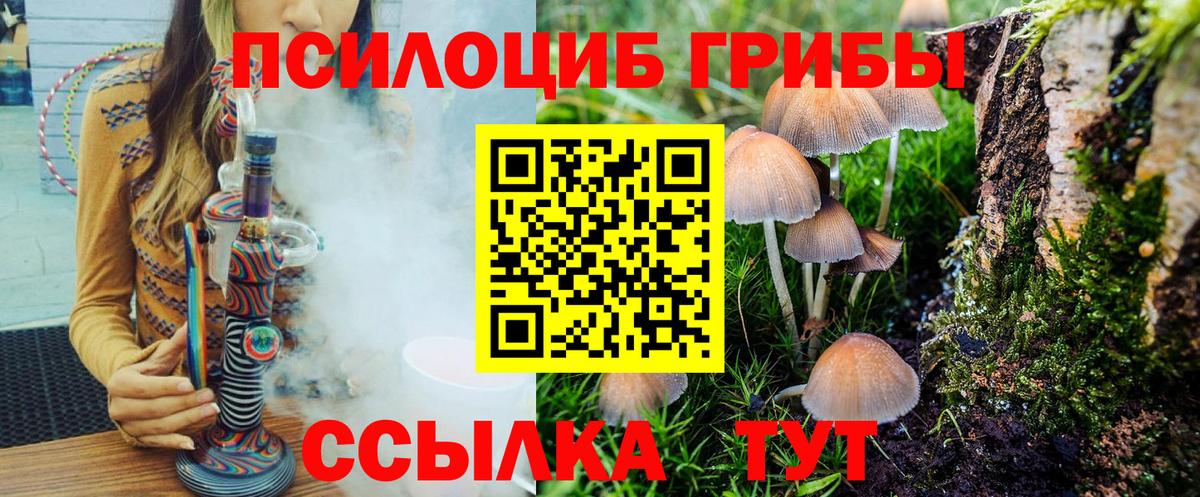 Псилоцибиновые грибы Psilocybine cubensis  Вход с VPN  купить   Иркутск 